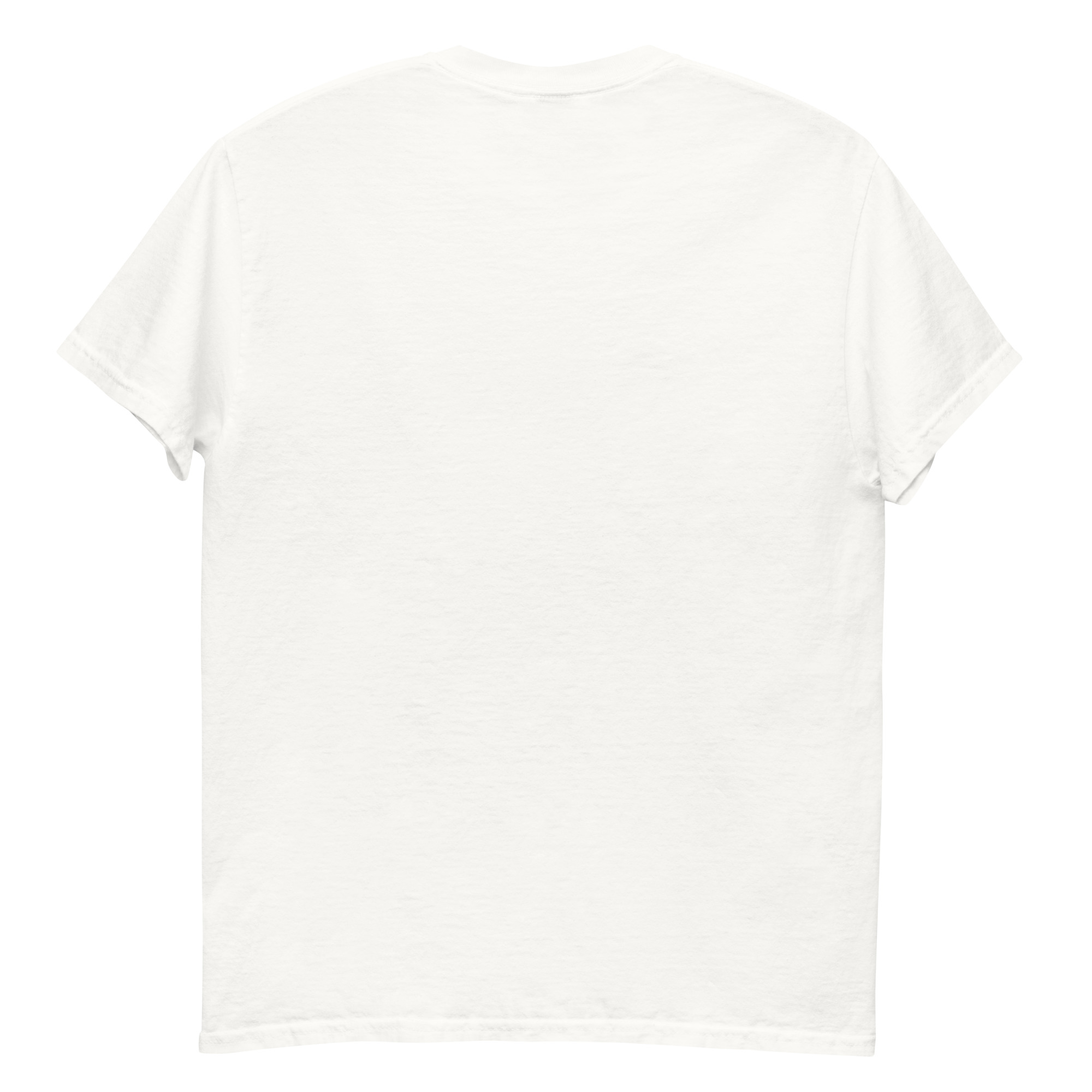 T-shirt classica unisex Generale Vannacci - immagine 6