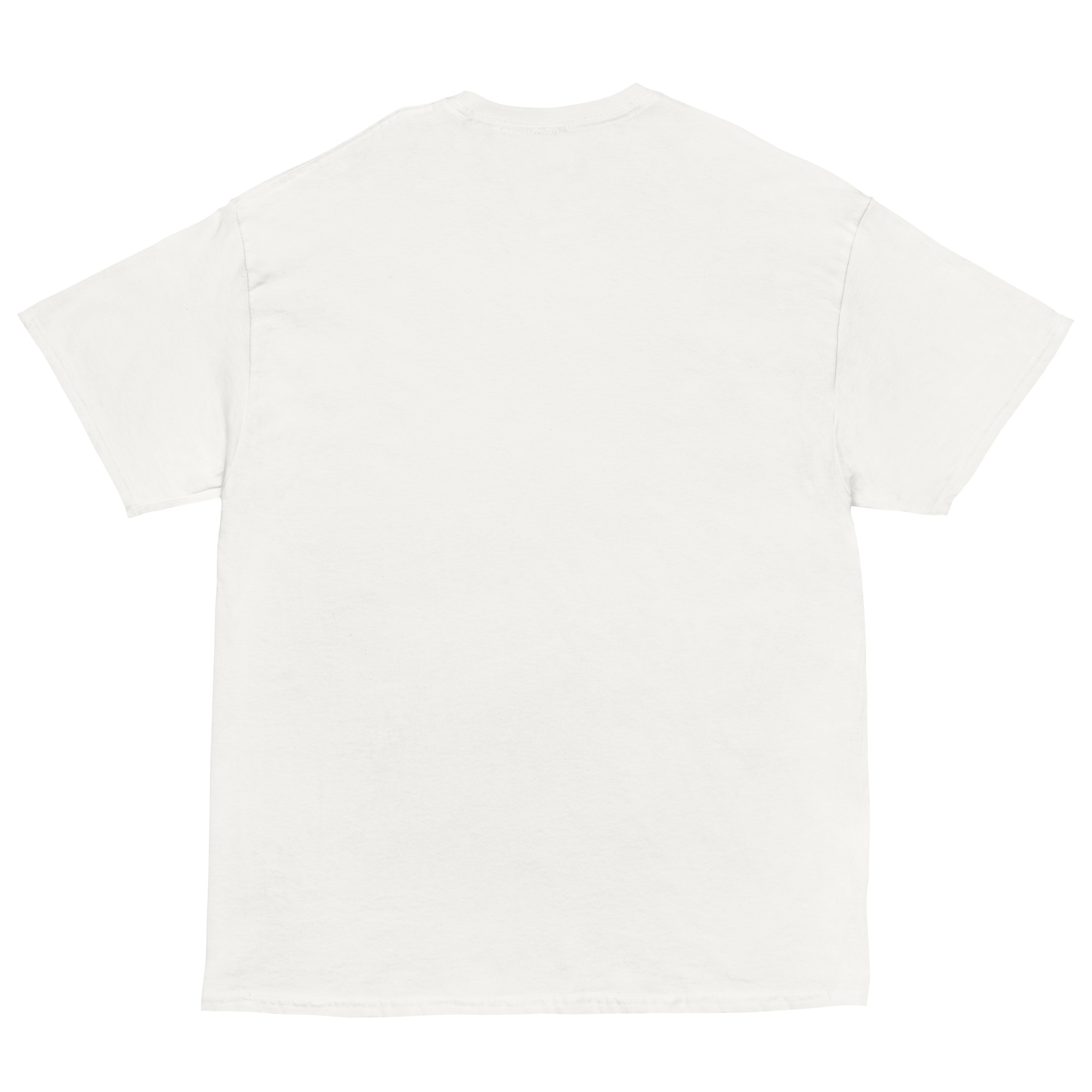 T-shirt classica unisex Generale Vannacci - immagine 8