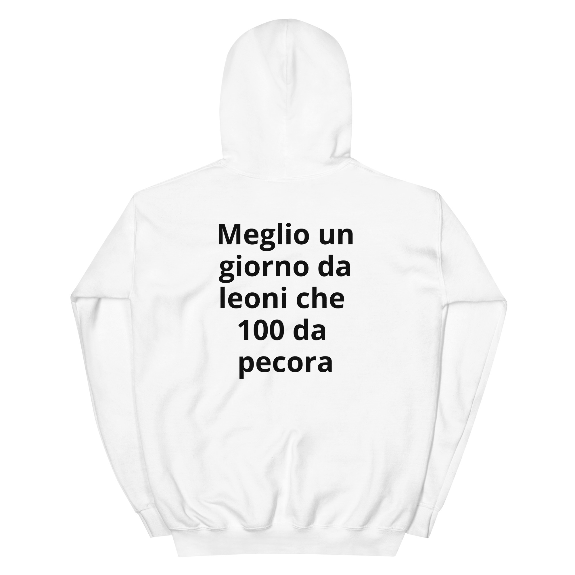 Felpa con cappuccio Generale Vannacci - immagine 2